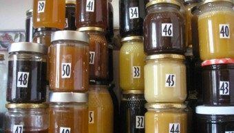 Muestras de mieles catadas por expertos de la UBU_