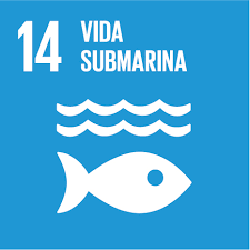 14 Vida submarina