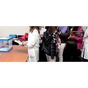 voto estudiantil