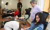7dona sangre