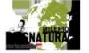 milenio