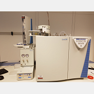Analizador Elemental THERMO