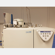 Analizador Elemental THERMO