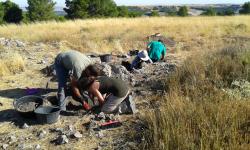 Excavación arqueológica